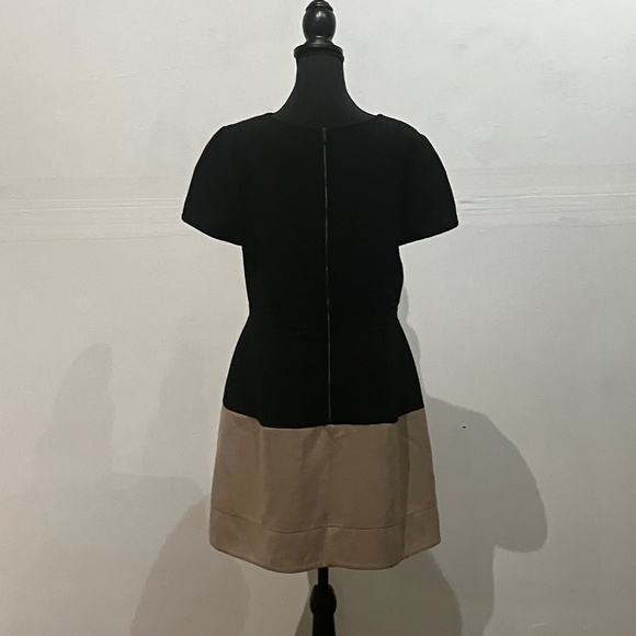 BCBG Black/Tan Colorblock Shift Dress - Picture 6 of 14